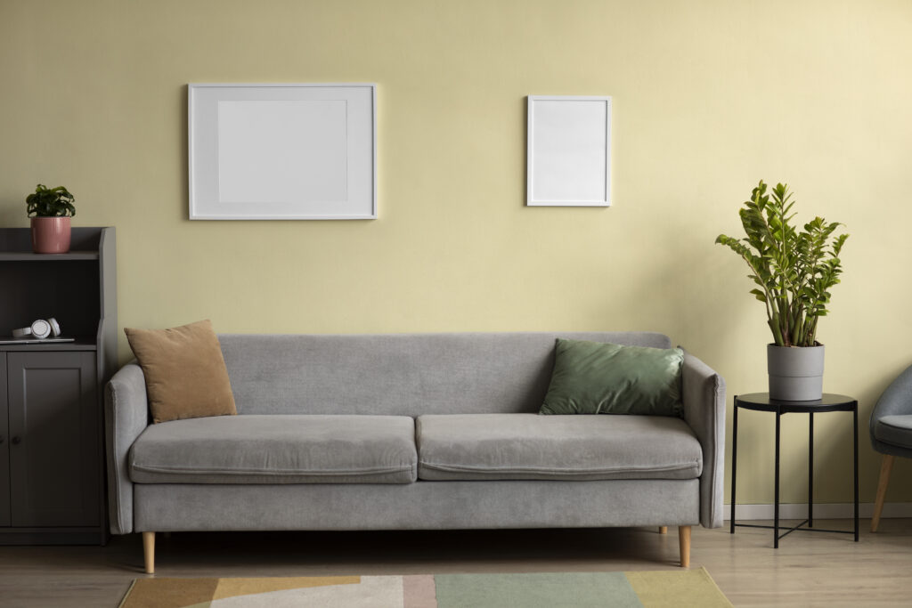 salon avec un mur coloré